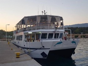 2008 2008Blt Catamaran za prodaju