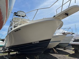 Acquistare 1990 Blackfin Combi 29