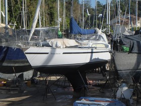 Buy 1978 Custom Caribic 40