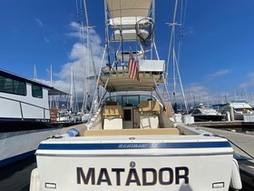 1982 Bertram Bahia Mar