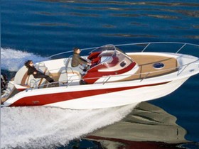 Buy 2021 Clear Taurus 920 Cabin
