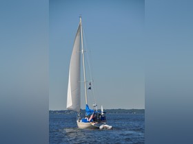 1981 Irwin Citation 40 kaufen