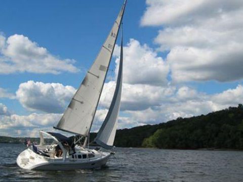 Hunter Legend 310