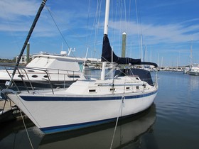 Buy 1984 Irwin 34