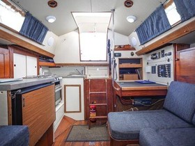 1975 Nicholson 32