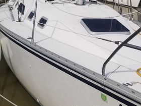 1987 Hunter 31