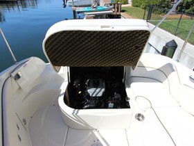 Köpa 2008 Sea Ray 240 Sundeck