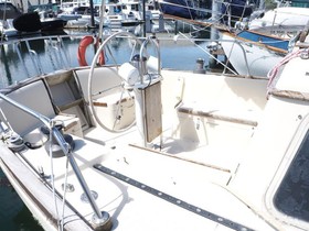 Buy 1978 Islander Freeport 36