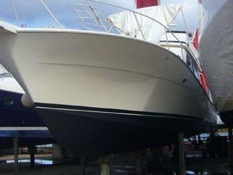 Viking 50