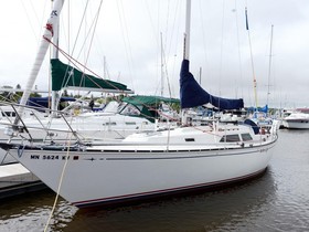 Comprar 1984 C&C 37