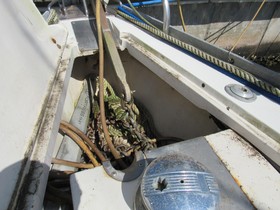 Buy 1990 Canadian Sailcraft Tall Rig