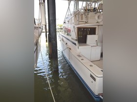 1986 Bertram Iii