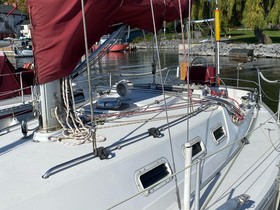 Buy 1984 Canadian Sailcraft 33