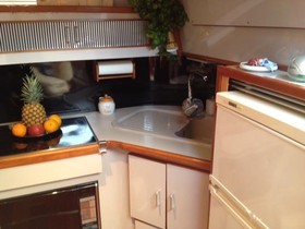 1988 Sea Ray 390 Express Cruiser til salg