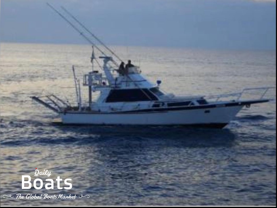 1977 Striker 43