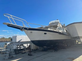 Buy 1977 Striker 43