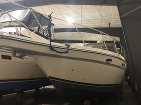 Buy 1998 Maxum 4100 Scr