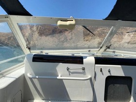 1990 Bertram 28 Moppie