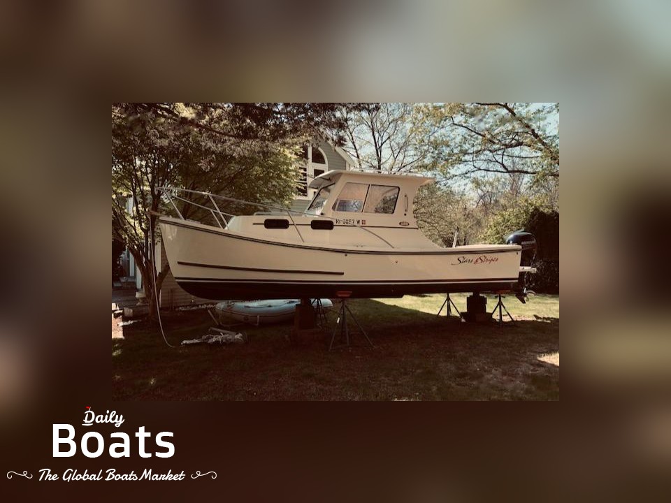 Eastern 248 explorer for sale Daily Boats