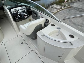 Купить 2008 Sea Ray 260 Sundeck