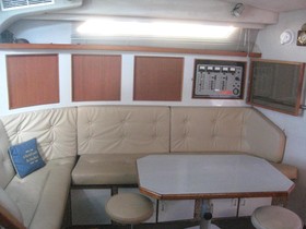 1988 Sea Ray 390 Express Cruiser til salgs