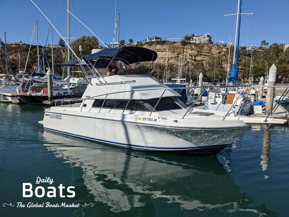 1993 Skipjack 260