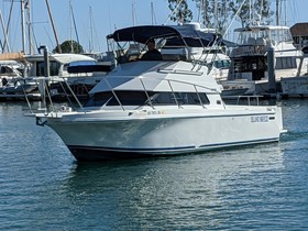 Acquistare 1993 Skipjack 260