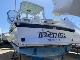 Köpa 1995 Albin 32 Plus 2 Command Bridge