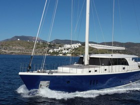 Buy 2019 Custom Sloop 101