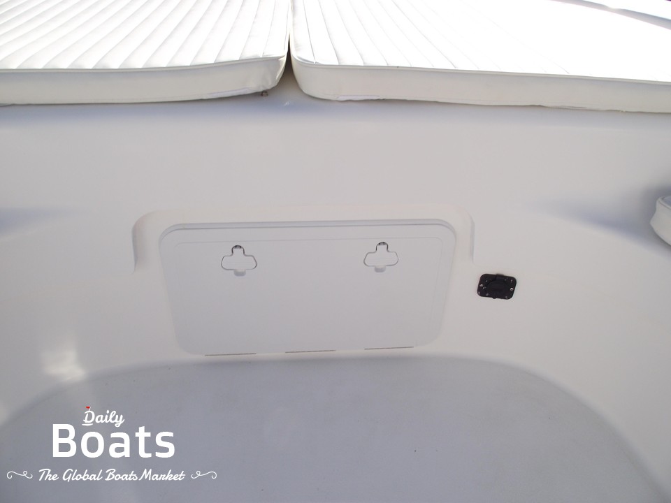 2022 Savannah Hybrid Skiff Ss21 for sale. View price, photos and Buy