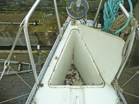1981 Trapper Ts240 for sale