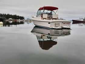 1988 Limestone Express Cruiser kaufen