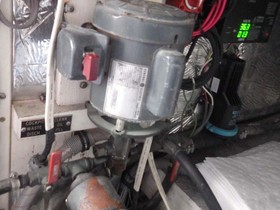 1986 Bertram Convertible satın almak