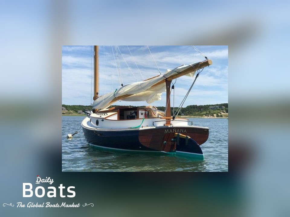 2015 Custom Arey'S Pond Cruising Cat for sale. View price, photos and