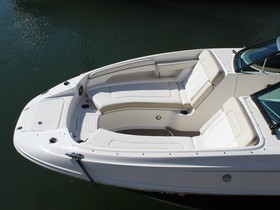 2013 Sea Ray 260 Sundeck na prodej