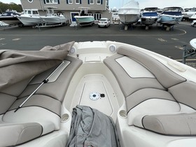 Koupit 2003 Sea Ray 240 Sundeck