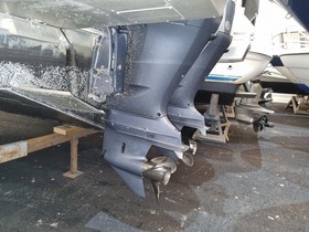 Buy 2019 Buster Phantom Cabin