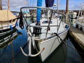 Buy 1983 C&C 37