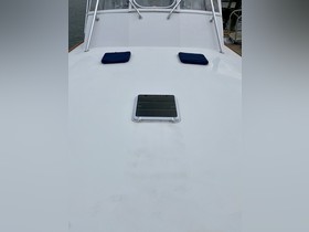 1994 Buddy Davis 44 Express zu verkaufen