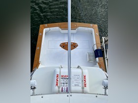 1994 Buddy Davis 44 Express zu verkaufen
