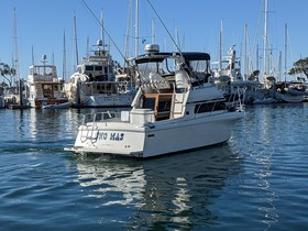 Buy 1995 Skipjack 262 Flybridge