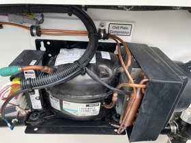 2023 Regulator 31
