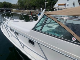 1999 Mainship Pilot