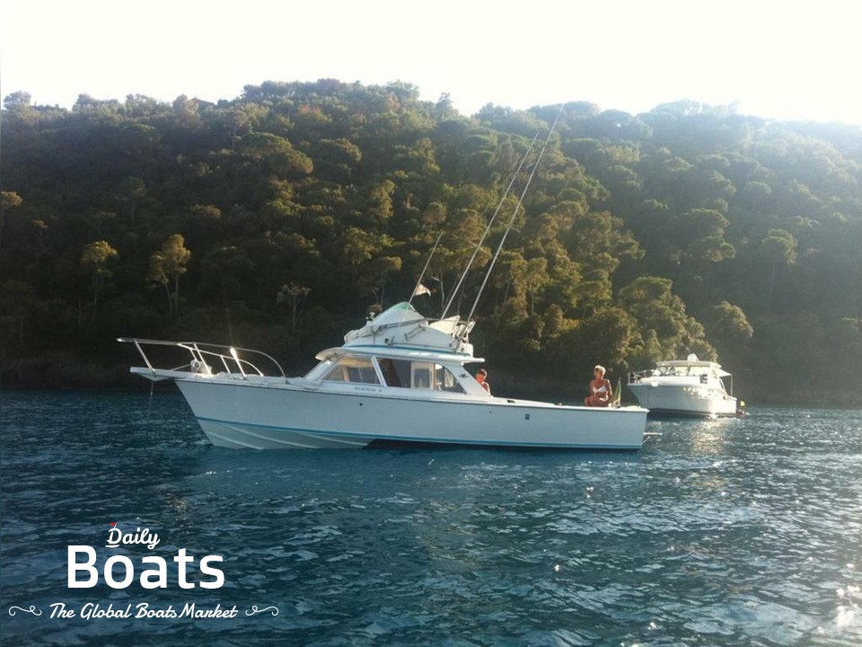 1970 Bertram 31 for sale. View price, photos and Buy 1970 Bertram 31