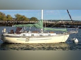 Young Sun Cutter