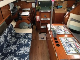 1977 Amel Kirk for sale