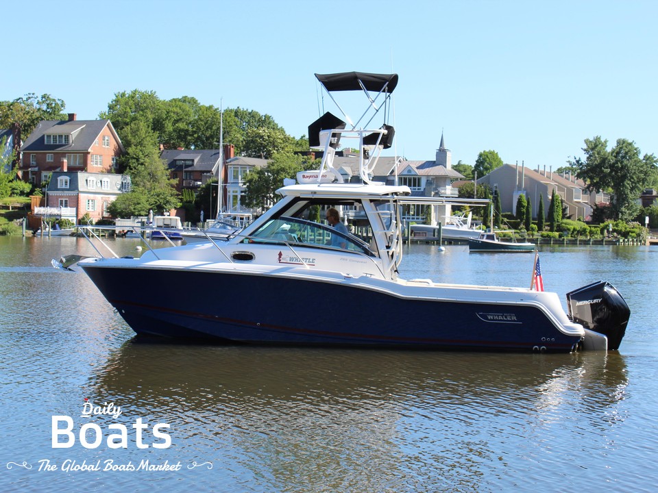 Walkaround Boats: Everything You Need to Know