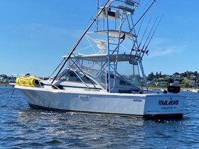 1996 Blackfin Combi 29