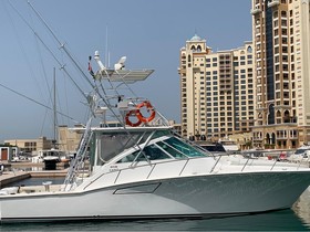 Cabo 40 Express