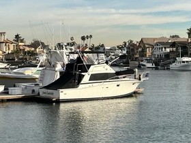 1982 Bertram Mark Iii in vendita